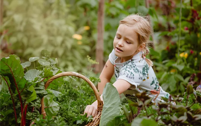 Jetzt kann geerntet werden! Kinder spielerisch einbeziehen