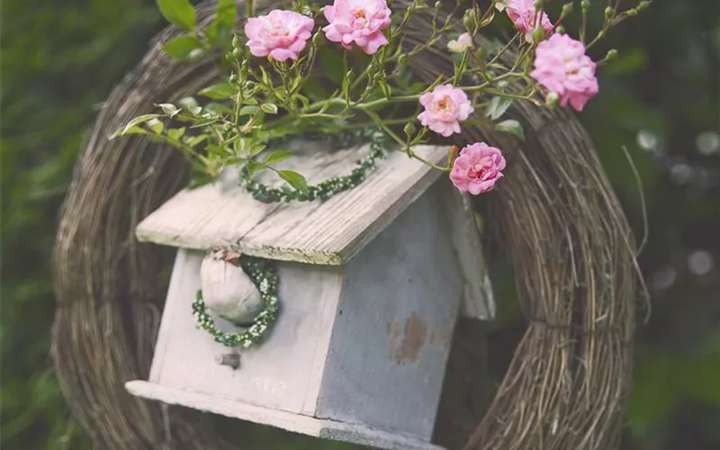 Diese Arbeiten sind jetzt im Garten noch nötig