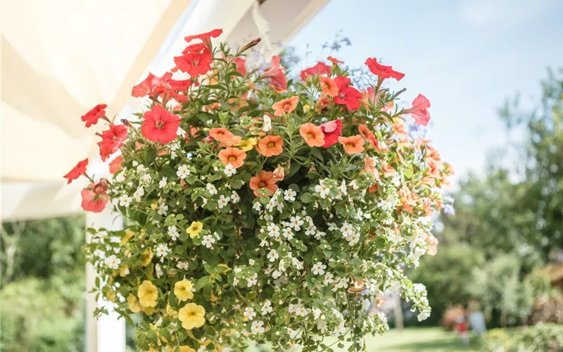 Urban Gardening – Blumenampel aus Konservendosen