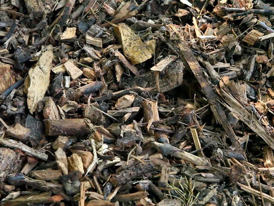 Mulch - Einsatz im Garten (2) (Mulch - Einsatz im Garten (2).jpg)