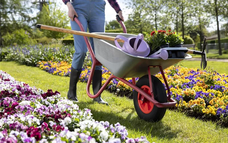 Der Gartenboden – jeder braucht mal Unterstützung