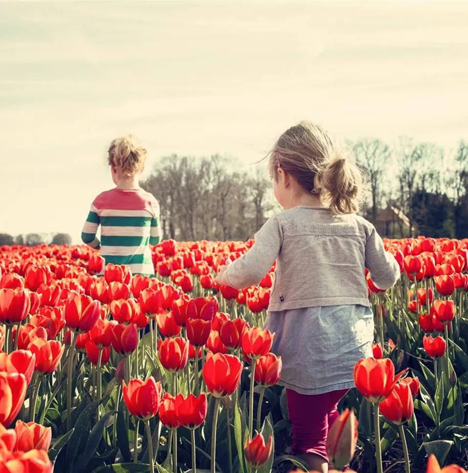 kinder_im_Tulpenfeld.jpg