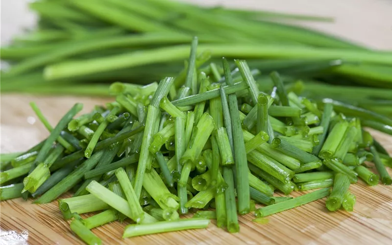 Kochen mit Kräutern aus dem Garten