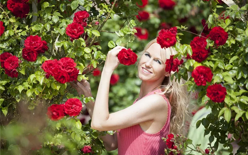 Blühender Valentinstag - für sie und ihn!