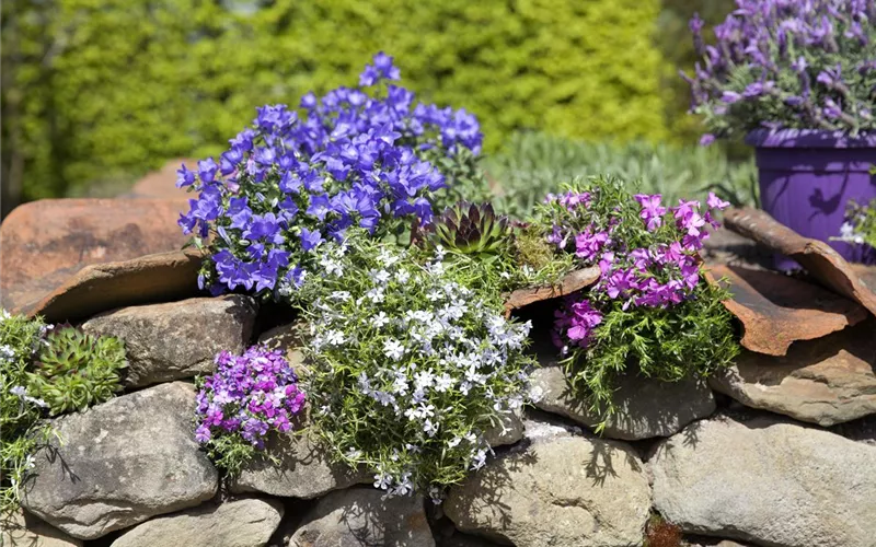 Blackbox-Gardening – die kreative Idee mit den großen Überraschungseffekten