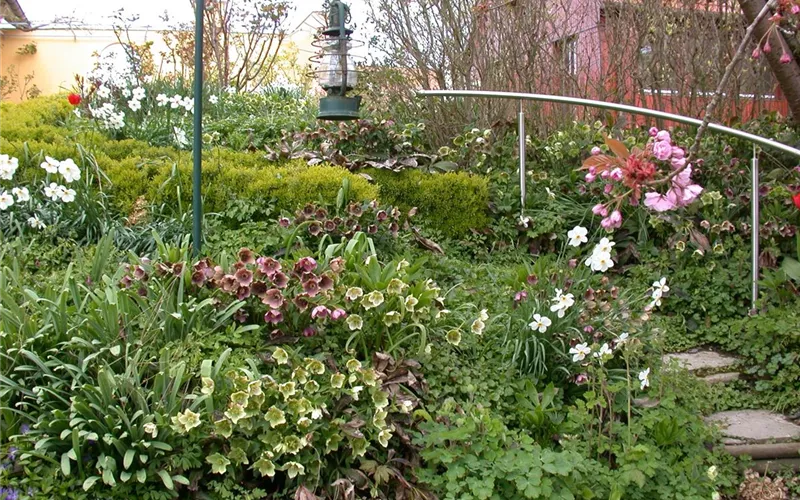 Cottage Garden: Englisches Flair im eigenen Garten