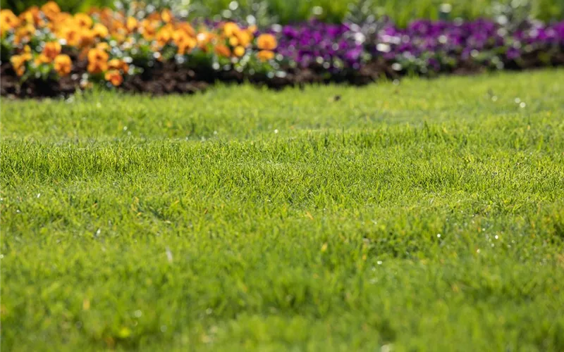 Frühjahrskur für den Rasen – endlich wieder durchatmen