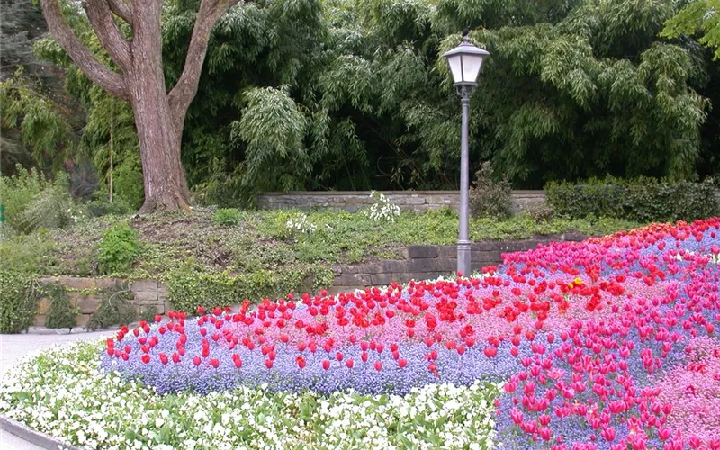 Das richtige Blumenbeet für den eigenen Garten