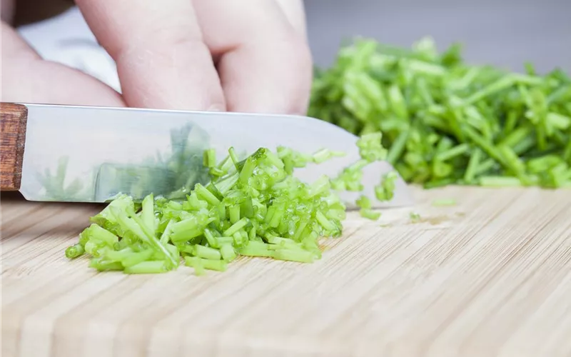 Kochen mit Kräutern aus dem Garten