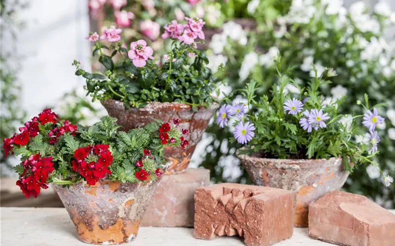 Der ganz große Stil im Garten - eine Anleitung für Menschen mit Liebe zu Effekten