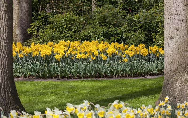 Das richtige Blumenbeet: eine Frage des Geschmacks