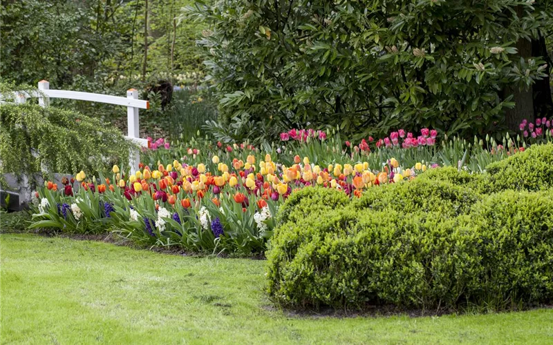 Das richtige Blumenbeet: eine Frage des Geschmacks