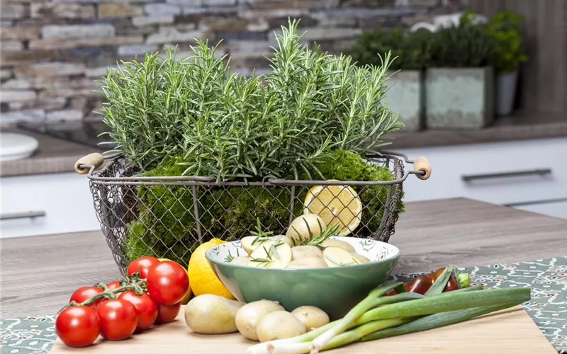 Kochen mit Kräutern aus dem Garten