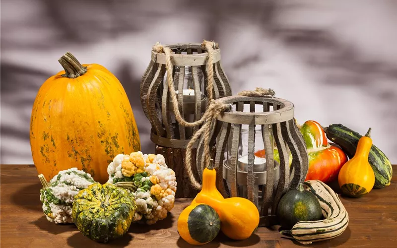 Es wird bunt! Herbst-Deko im Haus