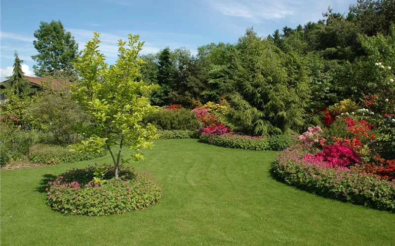 Bäume pflanzen – so wird der Garten groß