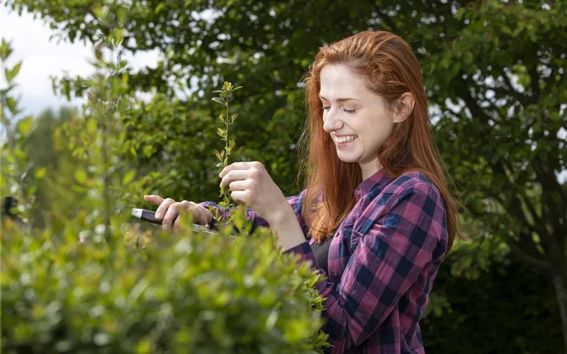 Diese Arbeiten sind jetzt im Garten noch nötig