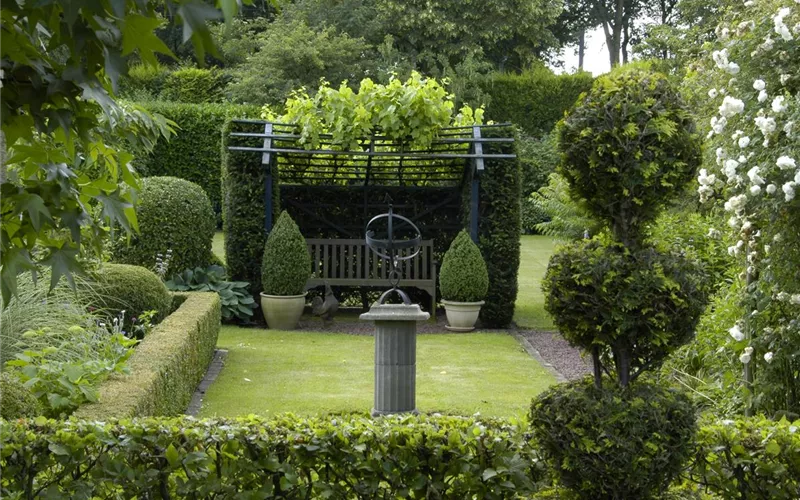 Auf die Form gekommen – Formgehölze im Garten