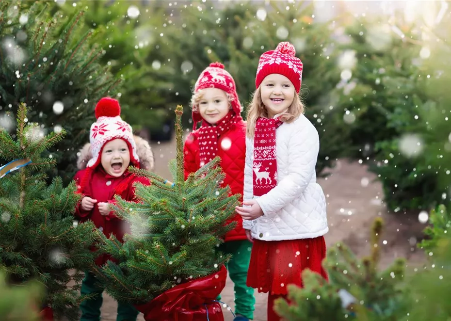 Kinder/Weihnachten